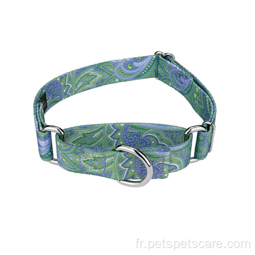 Collier de chien d'impression de sublimation avec design personnalisé